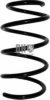 BMW 31336769006 Coil Spring